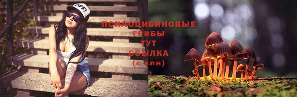 гашик Алзамай