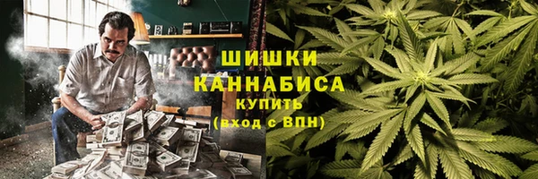 прущие грибы Снежногорск